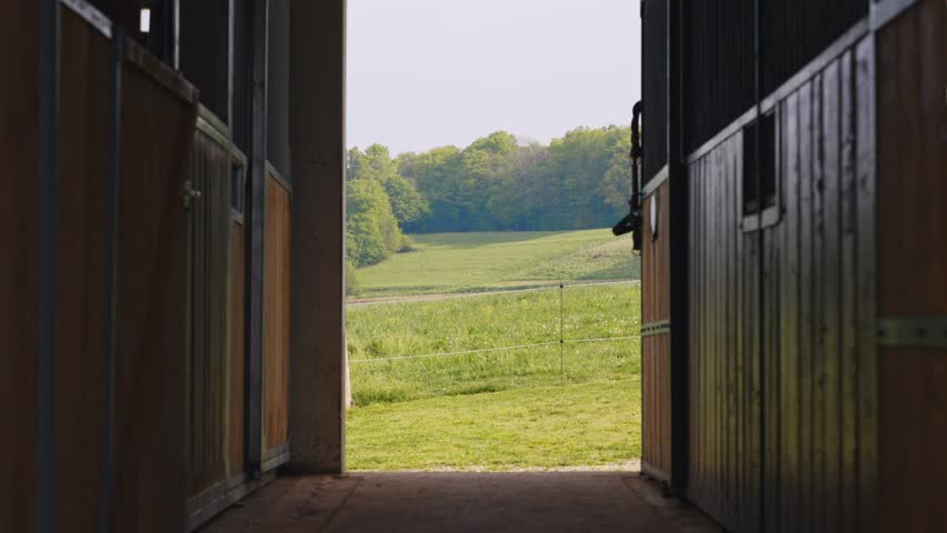 A serene view from a horse stable overlooking a lush green pasture.