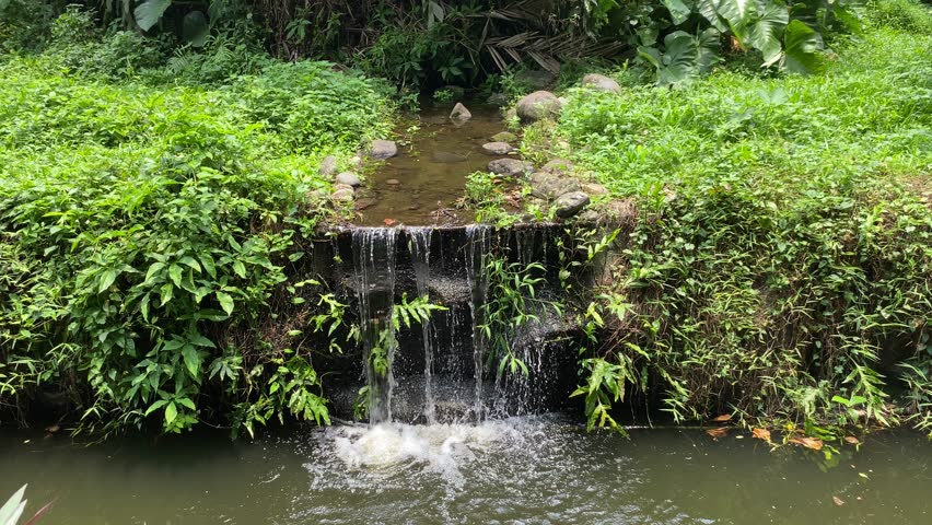 Waterfall from the small water conduit to the wider river under. Rainforest tropical garden surrounding