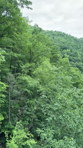 Lush Green Mountains Under Cloudy Sky