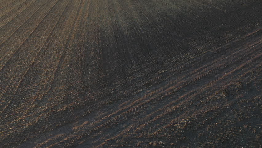 Aerial shot of pickup truck driving through plowed field after harvesting. Flying over car moving among farmland at autumn. Off road vehicle riding along ploughed meadow. Concept of agronomy farming