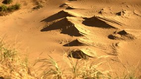 Sundrenched Dunes With Shadows, Serene Arid Landscape Featuring Windshaped Ridges And Footprints. Creative - Powered by Shutterstock - Get 15% off with code: PIKWIZARD15