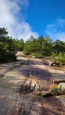 Climbing the Forested Rocky Slopes of Acadia on Dorr Mountain Trail (Acadia National Park, Maine, USA)