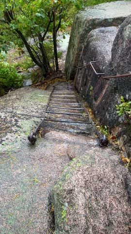 Ladder on Slopes High Above the Acadia Forest (Acadia National Park, Maine, USA)