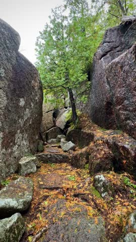 Rocky Trail With Ladders on the Dorr Mountain Trail (Acadia National Park, Maine, USA)