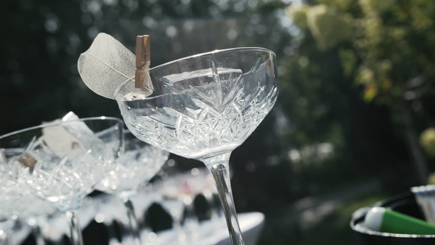 Empty crystal coupe glasses with floral ice garnish at outdoor event