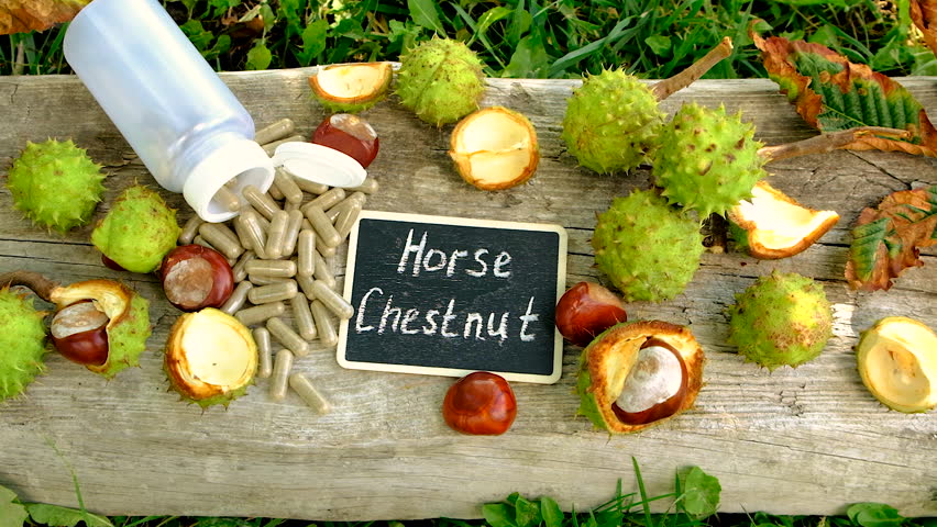 Horse chestnut tincture and supplements. Selective focus.