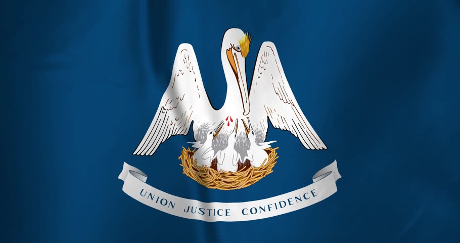 The louisiana state flag of the United States of America waving with the wind background loop video animation