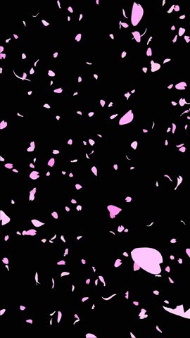 A vertical loop video of a 3D black landscape looking up at cherry blossom petals falling from below