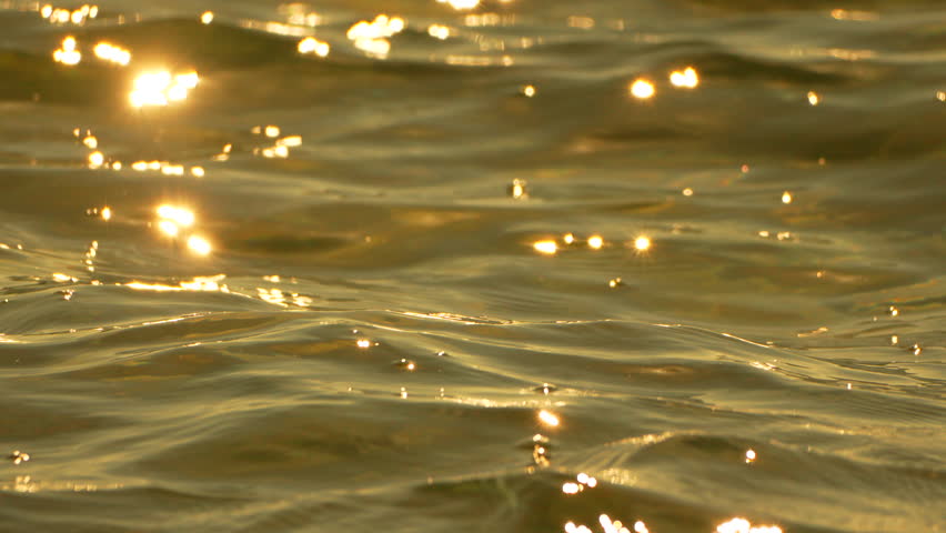 Water, golden, shimmering surface with sunlight reflections, creating a peaceful abstract background