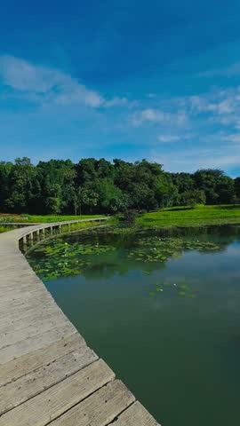 An amazing view of the summer landscape of lake, forest, and blue sky.