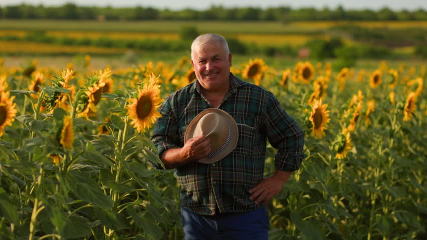 Sunlit Serenity Illuminated by the warm glow of sunlight, a senior farmer stands amidst a sea of sunflowers, his face glowing with the pure happiness derived from a life connected to the land.
