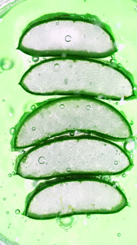 Vertical Macro Shot Of Fresh Aloe Vera Slices Floating In Green Liquid With Bubbles. Concept Of Natural Skincare, Wellness, Hydration