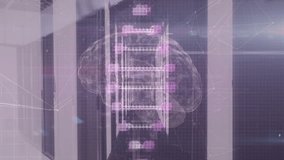 Animation of rotating dna with human brain over microprocessor with lock. Global communication, digital composite, data, biotechnology, artificial intelligence, cloud computing, network security. - Powered by Shutterstock - Get 15% off with code: PIKWIZARD15