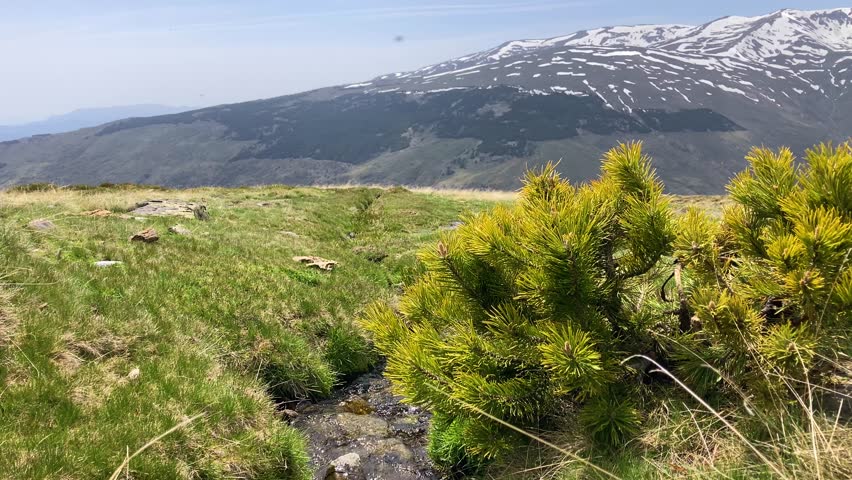 Water stream flowing from melting snow in the spring, Sierra Nevada range, Andalusia, Spain