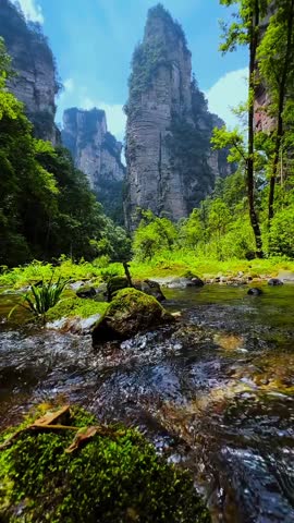 Pristine Forest River with Majestic Rock Formations and Wild Monkeys