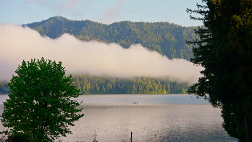 Lake Quinault in Olympic National Park, Washington, with calm blue water and lush forest surroundings. Ideal for nature, travel, and landscape footage.