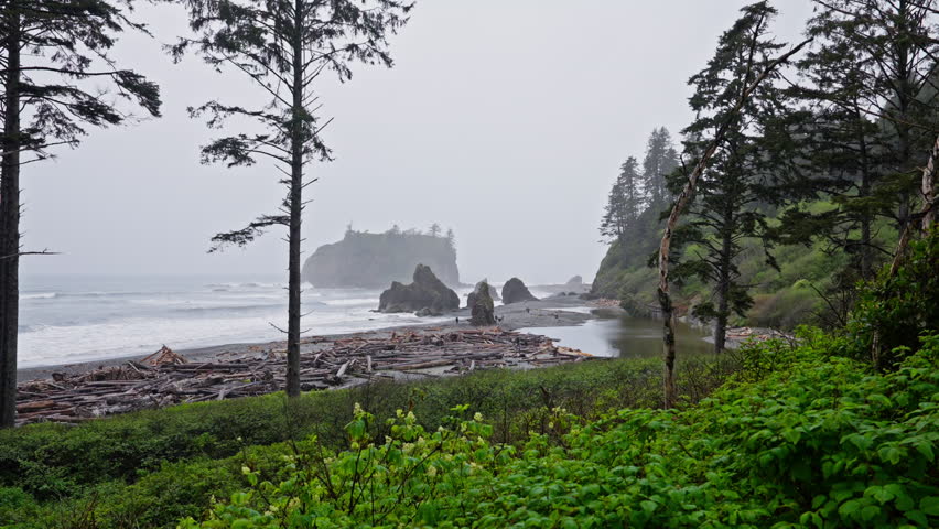 Driftwood scattered along Ruby Beach in Olympic National Park as ocean waves crash on the rugged shoreline. Ideal for coastal, nature, and scenic landscape footage.