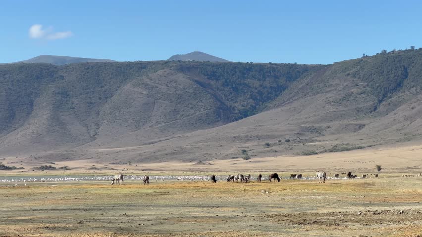 Panoramic view of Ngorongoro Crater. Tanzania.
