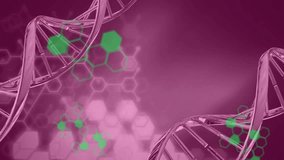 Animation of dna strands and scientific data processing. Global science, computing, data processing and connections concept digitally generated video. - Powered by Shutterstock - Get 15% off with code: PIKWIZARD15