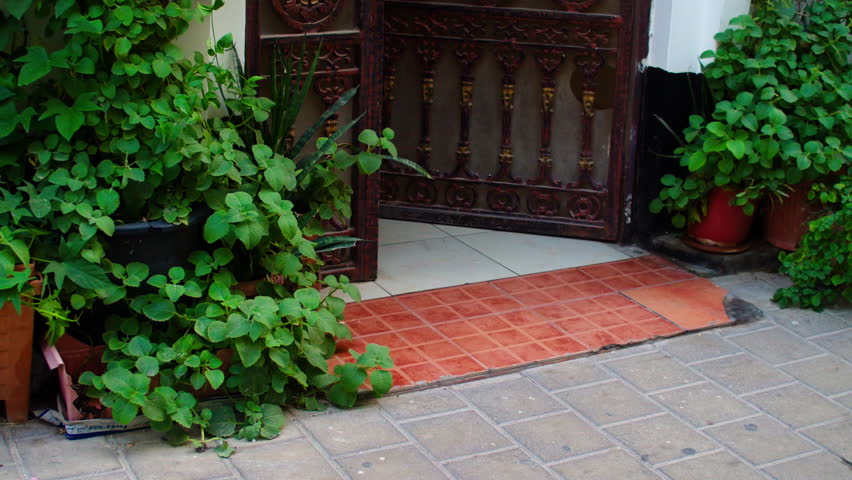 Decorative door leadin to house in Muharraq, surrounded by plants