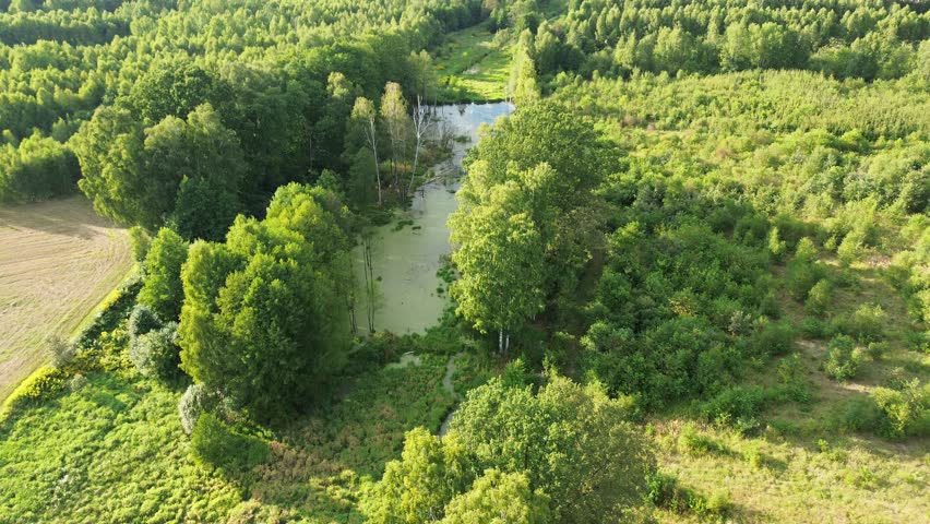 Scenic countryside lake view for outdoor adventure