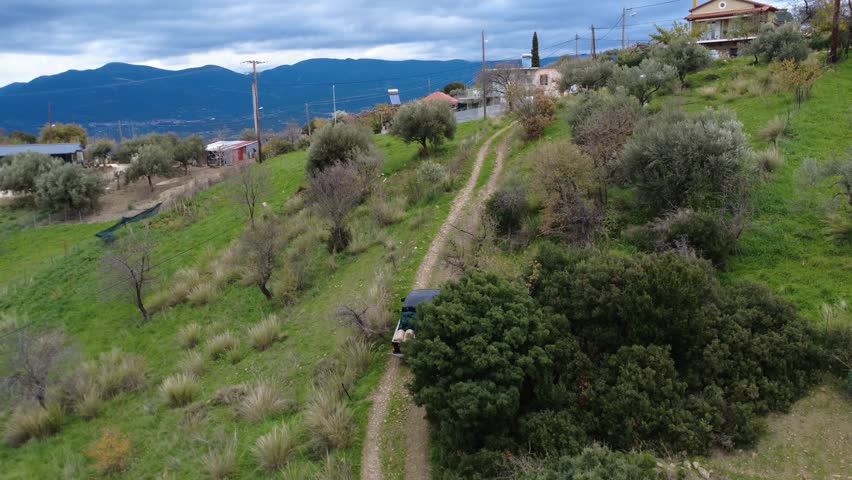 Loaded Pickup Truck Climbing Dirt Hill Road Through Olive Groves