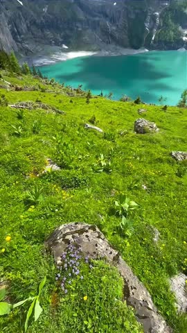 Turquoise Alpine Lake Surrounded by Snowy Mountains and Green Meadow
