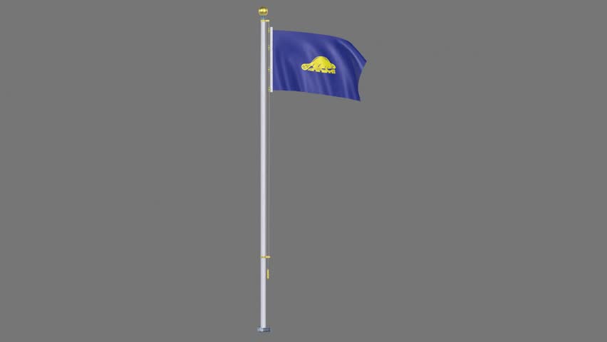 USA States oregon back Animated flag, High-resolution 3D render Video loop Flag of a digitally designed object or icon, presented on a clean white or solid colored background.