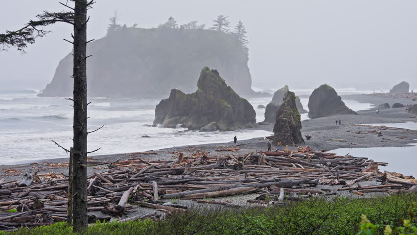 Driftwood scattered along Ruby Beach in Olympic National Park as ocean waves crash on the rugged shoreline. Ideal for coastal, nature, and scenic landscape footage.