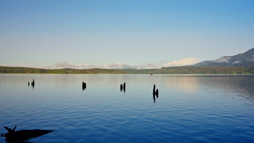 Reflections on Lake Quinault in Olympic National Park, with calm water mirroring the forest and mountains. Ideal for nature, landscape, and tranquil wilderness footage.