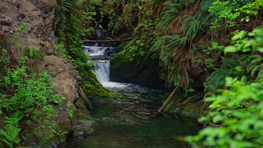 Small waterfall in Olympic National Park, Washington, flowing over mossy rocks in a lush forest setting. Ideal for nature, landscape, and wilderness footage.