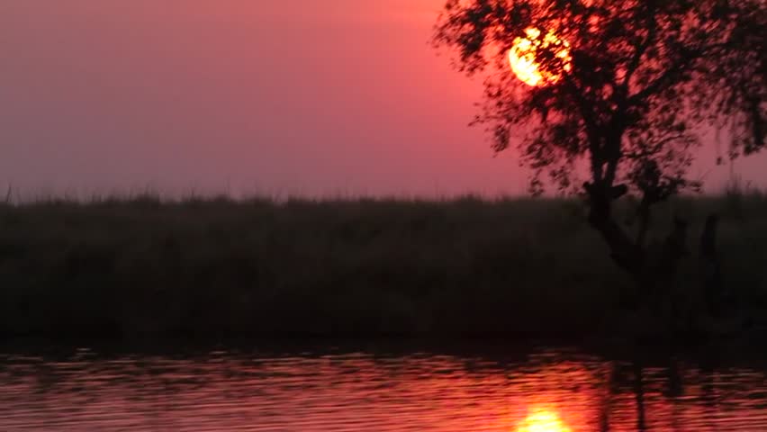 Tracking river sunset in africa silhouetted landscape