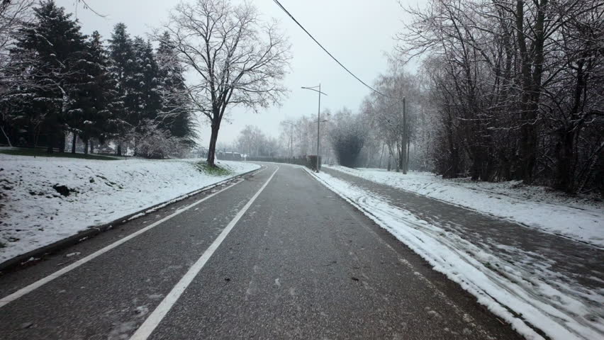 Winter Walk Along Road With Bike Lane And Snowy Trees