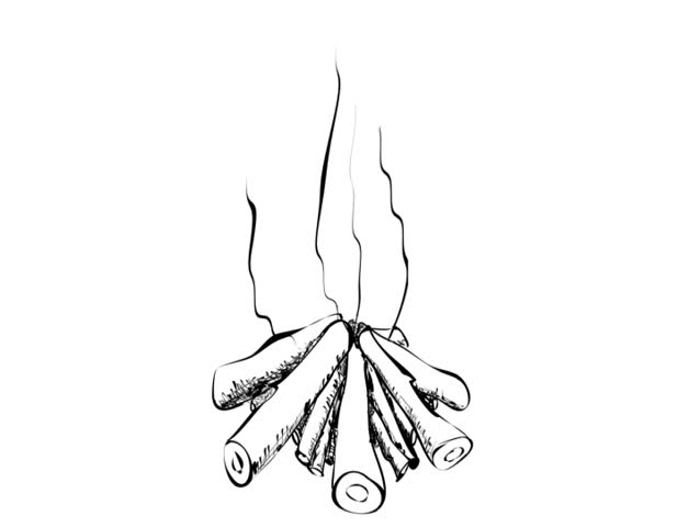 Campfire