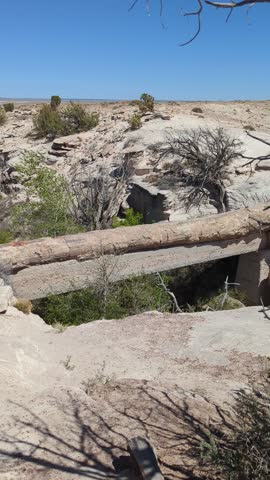 Agate Bridge petrified log in Petrified Forest National Park, Arizona