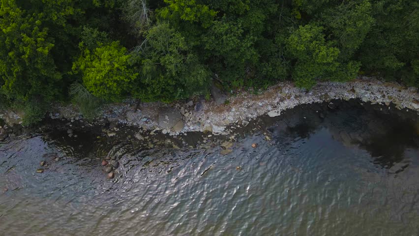 Top down aerial view gliding along a rocky shoreline with limestone boulders, lush green forest edge, and dark reflective sea water rippling gently in summer wind.