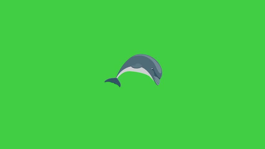 Dolphin animation, sstksummer, sea animals, underwater, nature, marine life, green background 