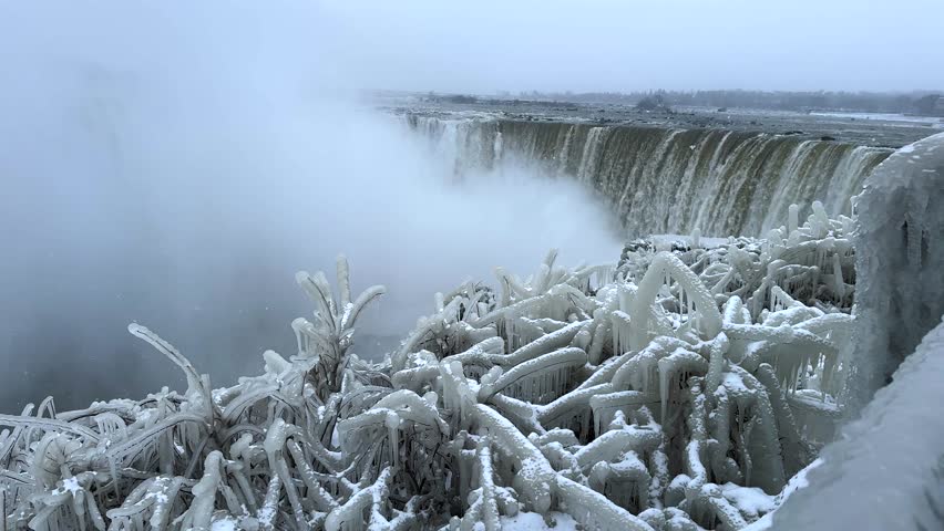 Front view of Niagara Falls on a winter day with frozen plants and ice-covered vegetation clinging to the cliff, while muddy water cascades powerfully in the background.