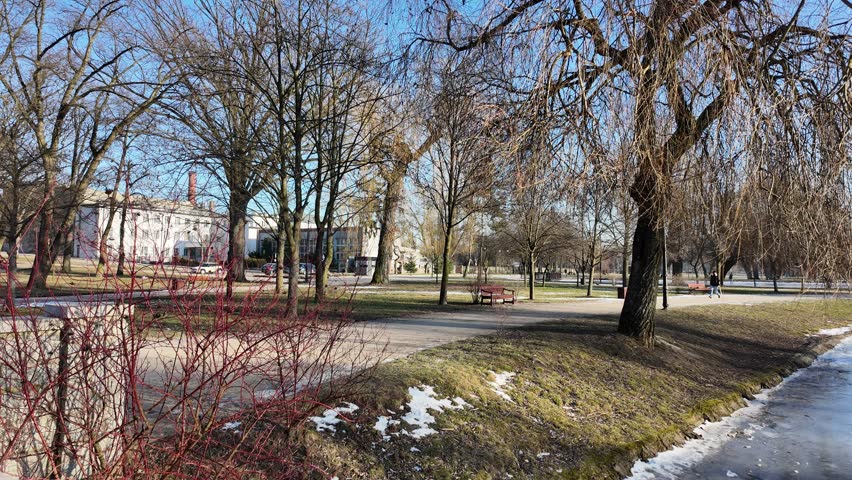 A frosty day in the city park in Zdunska Wola, Poland.