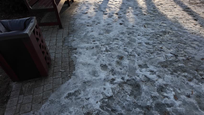 A frosty day in the city park in Zdunska Wola, Poland.