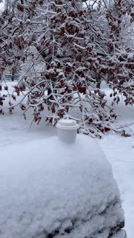 Circular panning close-up video of takeaway coffee(tea) on snowy bench amid snow-covered trees