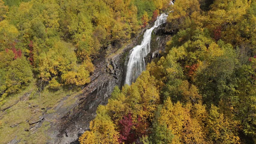 A waterfall with a lot of leaves on it. The water is clear and the leaves are red