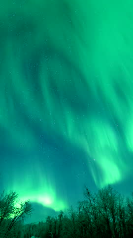 Time lapse of aurora borealis glowing over frozen landscape and snowy trees in northern Finland, starry sky, vertical