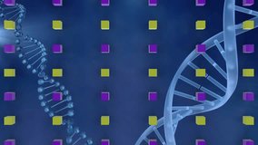 Animation of dna strand and clock over blue background. science and data processing concept digitally generated video - Powered by Shutterstock - Get 15% off with code: PIKWIZARD15