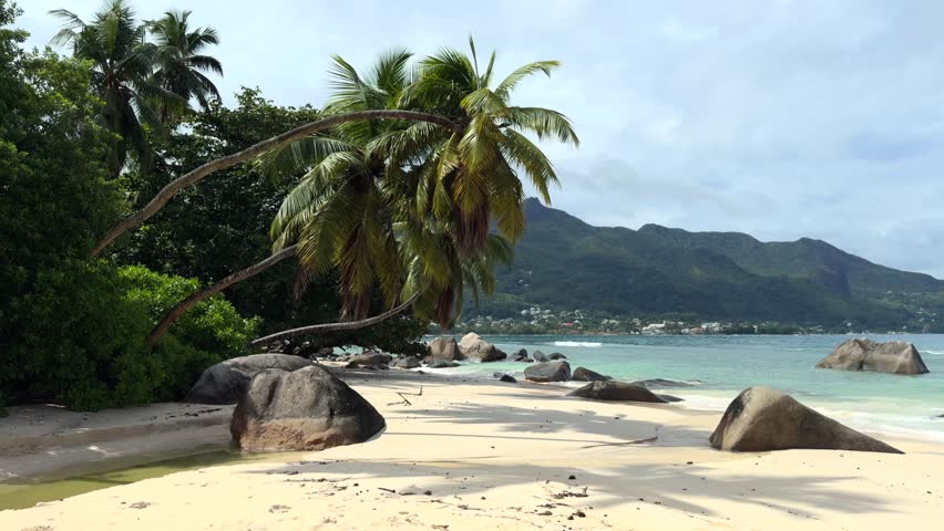 Beautiful white sandy beach with palm trees and granite stone of mare anglaise beach, Mahe, Seychelles 25fps 001