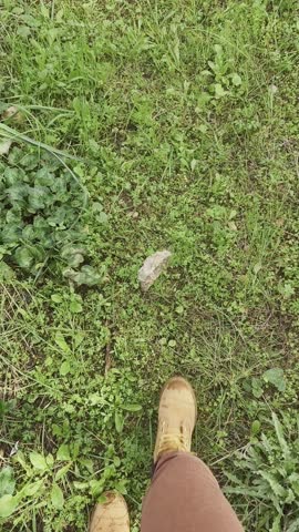 POV view looking down while a girl walks through green grass in a forest and steps onto a path lined with white stones and grass on a sunny day.personal journey, choice, new adventures. vertical scree
