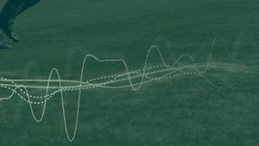 Animation of data processing over male soccer players. Global sport and digital interface concept digitally generated video. - Powered by Shutterstock - Get 15% off with code: PIKWIZARD15