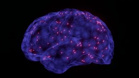 Digital Brain Neural Network Purple Particles Digital human brain formed by glowing purple particles and neural connections. Futuristic visualization representing artificial intelligence, machine learning, data flow, and advanced neural networks. - Powered by Shutterstock - Get 15% off with code: PIKWIZARD15