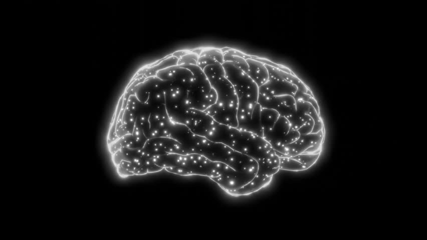 White Brain Neural Map Scientific Visualization Clean white brain neural map presented in a scientific visualization style. Ideal for medical education, research presentations, and healthcare communication.