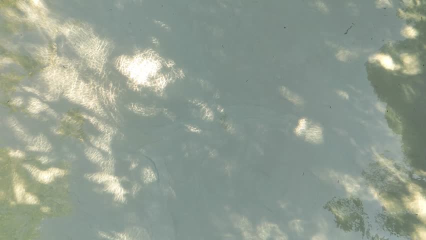 Top Down Aerial View of Buritis Fervedouro Natural Spring in Jalapao Brazil
